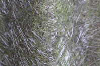 Clapton In Gordano fibreglass roof work